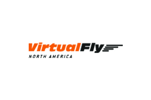 Virtual Fly